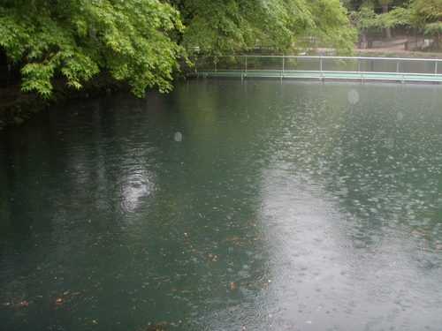 「醒ヶ井養鱒場」 雨の日の午後  その１