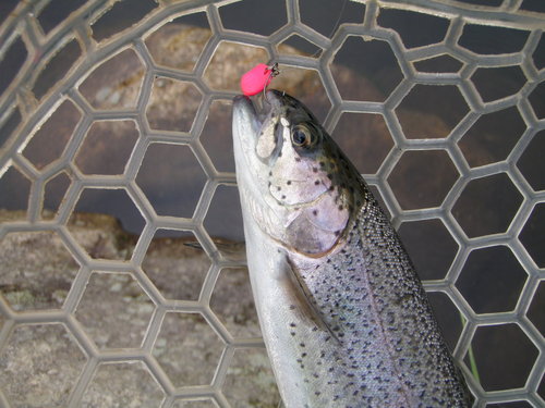 「平谷湖FS」で復習釣行　その１