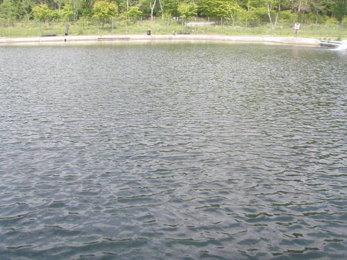 突然、偶然、予想外！？ in  「平谷湖FS」　その３