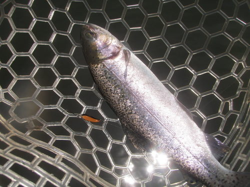 ドットコム後の「平谷湖FS」　その３