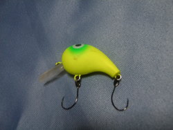 シケイダーロストなので・・・