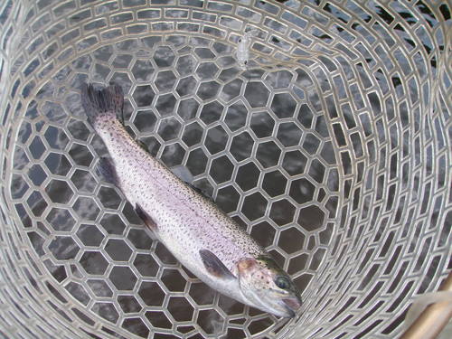 「平谷湖FS」　NKC三昧でした。　その３