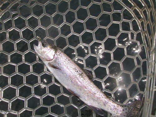 のんびり、ゆったりと in 「平谷湖FS」その３