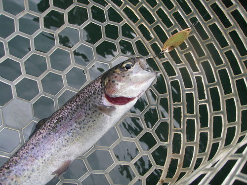 「醒ヶ井養魚場」　in  お盆休み　その１