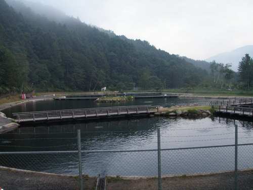 んっ！？今日は厳しい？ in 「平谷湖FS」　その１