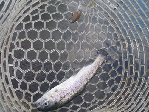 遠征企画！「Fish On！鹿留」参戦記　その２