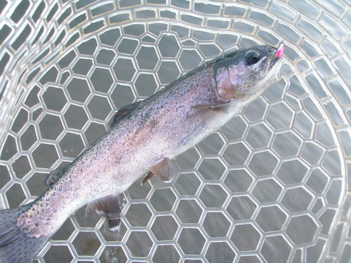 遠征企画　第３弾　in  「Fish On！鹿留」　その１
