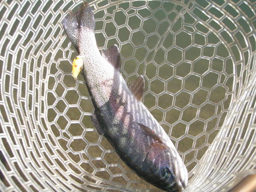 遠征企画　第３弾　in  「Fish On！鹿留」　その２