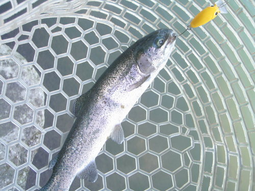 遠征企画　第３弾　in  「Fish On！鹿留」　その２
