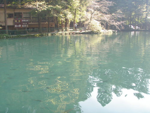 「醒ヶ井養鱒場」　呪いから解放！？　その３