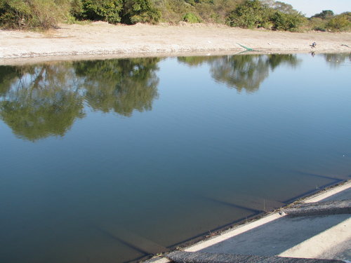 「北方ます釣り場」オープン後。