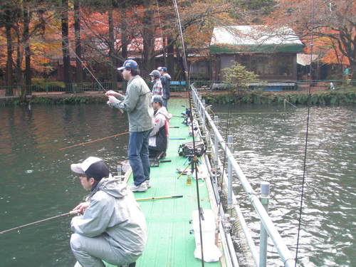 「醒ヶ井養鱒場」　紅葉ます祭り　その１