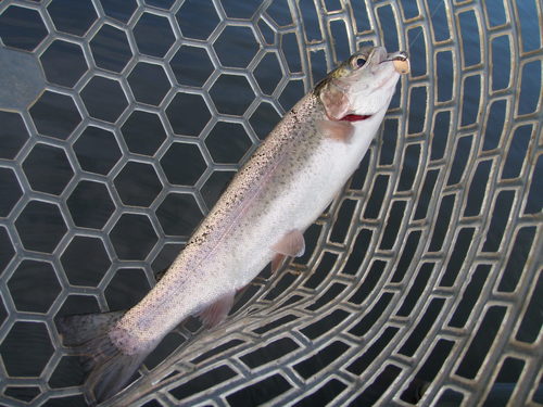 納得した釣りは出来たのか？in｢岡崎TP｣その２