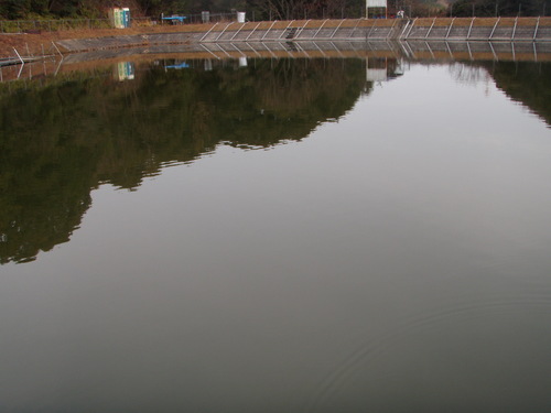 今年最後の釣行 in 「岡崎トラウトポンド」