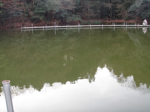 今年最後の釣行 in 「岡崎トラウトポンド」