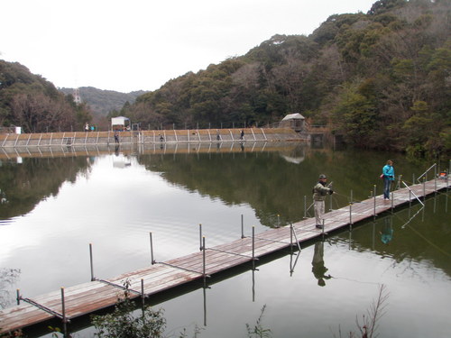 今年最後の釣行 in 「岡崎トラウトポンド」