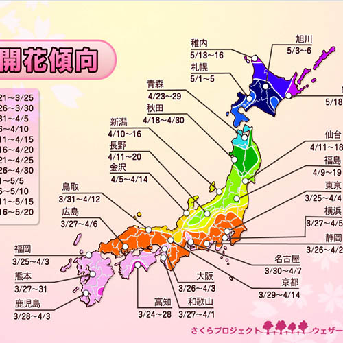 2012年 桜開花傾向発表。寒気が長引く影響で西・東日本ほど遅めの開花。