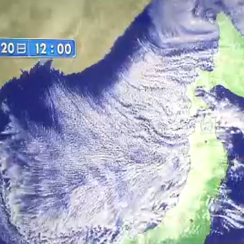 春の雪