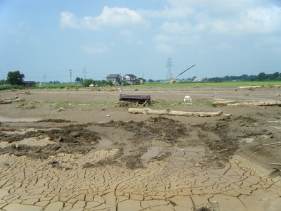 7･28豪雨災害