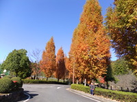 東はりま日時計の丘一日目