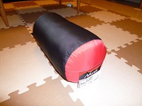 買ったぜ！オーロラ450DX 2013/06/28 20:58:22