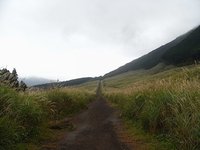 仙石原（箱根）のススキ　今日は雨で輝かず