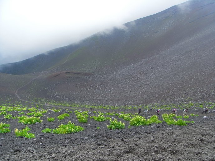 宝永火口から宝永山