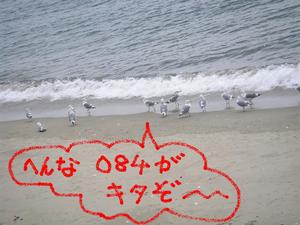 ツールド島原半島一周　最終章