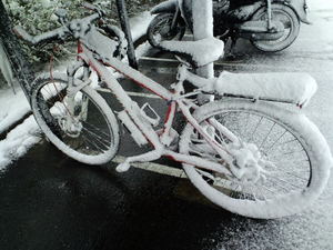 Snow　Cycle