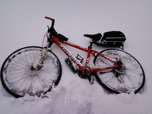 Snow　Cycle