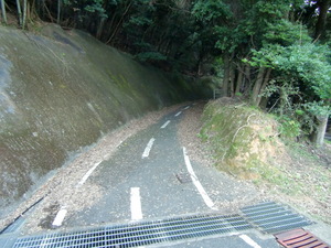 野母崎やっつけられサイクリング1