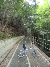 野母崎やっつけられサイクリング1