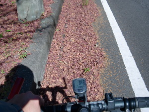 五家原　サイクリング山登り
