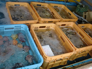 となりの客は　よく　牡蠣　食う客ＤＡ