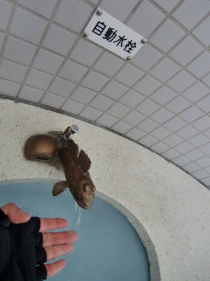有明海一周やっつけサイクリング前半戦