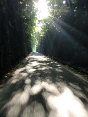 島原半島一周2回目サイクリング前半