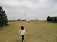 山茶花高原コスモス 2009/10/30 14:33:59