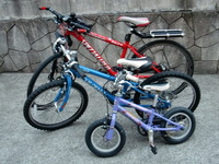 自転車メンテ 2011/06/01 23:00:38