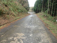 サドル確認サイクリング（長崎街道）