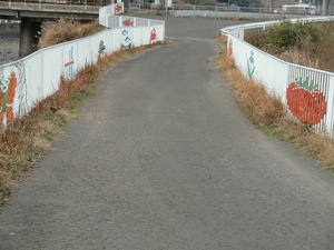 竹崎サイクリング