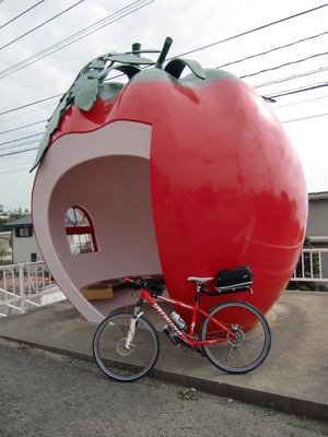 竹崎サイクリング