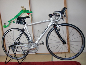 2010年、ロードポタ