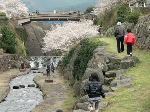 桜吹雪
