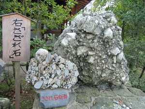 観櫻火宴