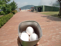 GW② 2010/05/08 22:44:41