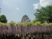 イカイカ・・・③唐津 2010/05/12 04:45:59