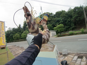 島原湾一周サイクリング③