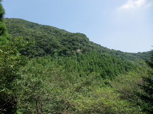 初秋の紅葉狩り　轟峡