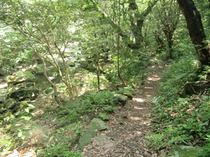 初秋の紅葉狩り　轟峡