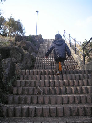 山茶花公園　